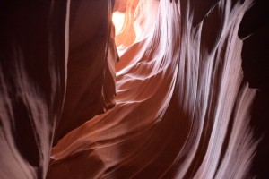 DSC 5558   