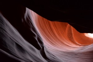 DSC 5569   